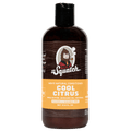 Conditioner Subscription - 2 Bottles - Freshness for the Daily Grind