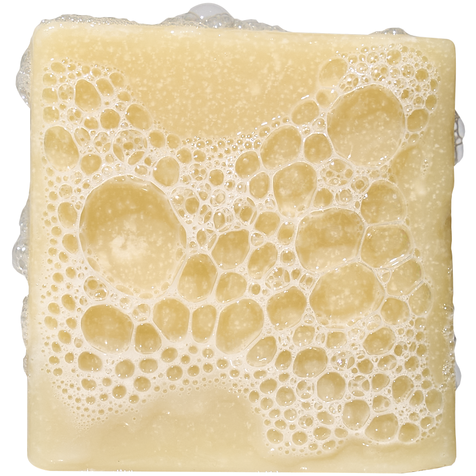 Bay Rum Mini - Better Soap for Better Days