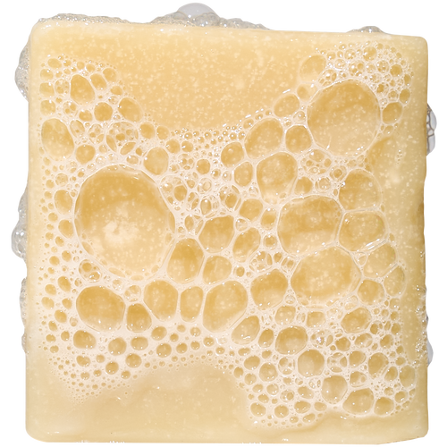 Bay Rum Mini - Better Soap for Better Days