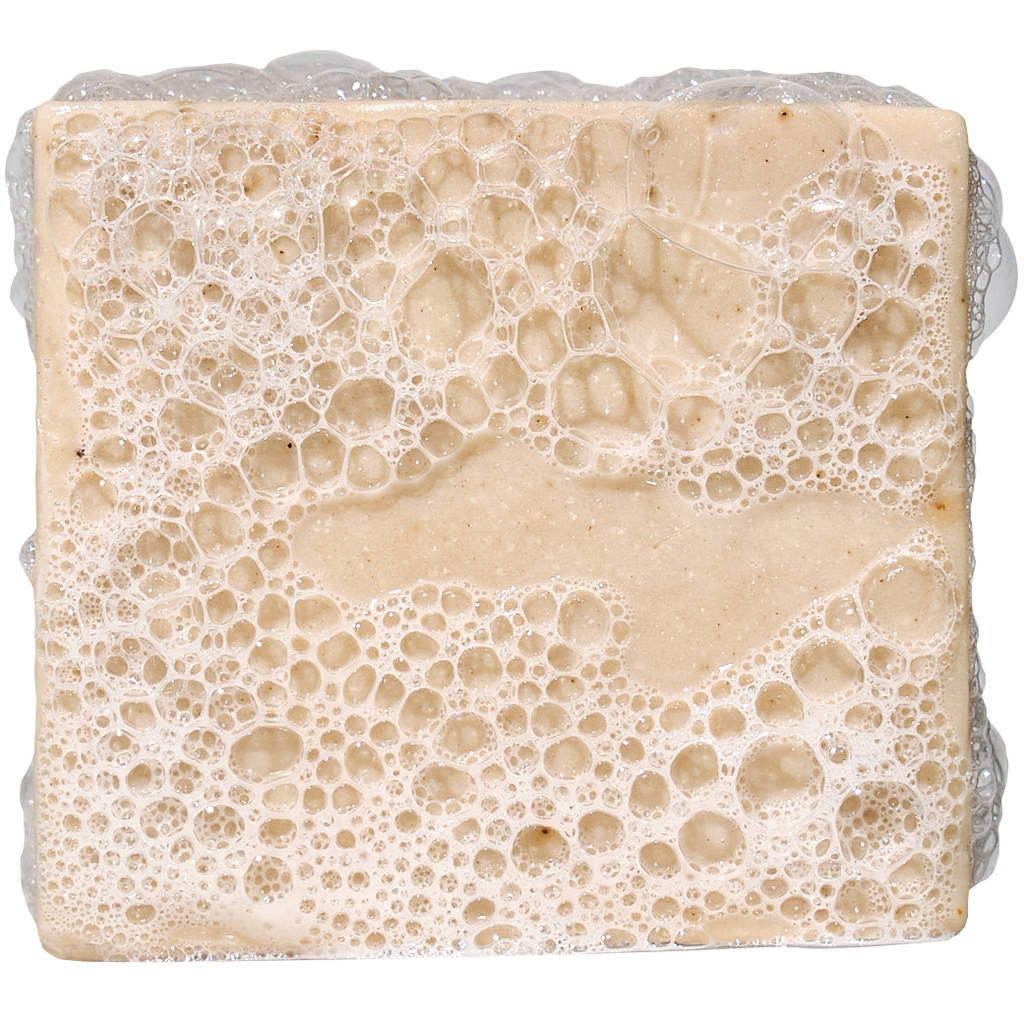 Birchwood Breeze Mini - Start Fresh With Clean Skin