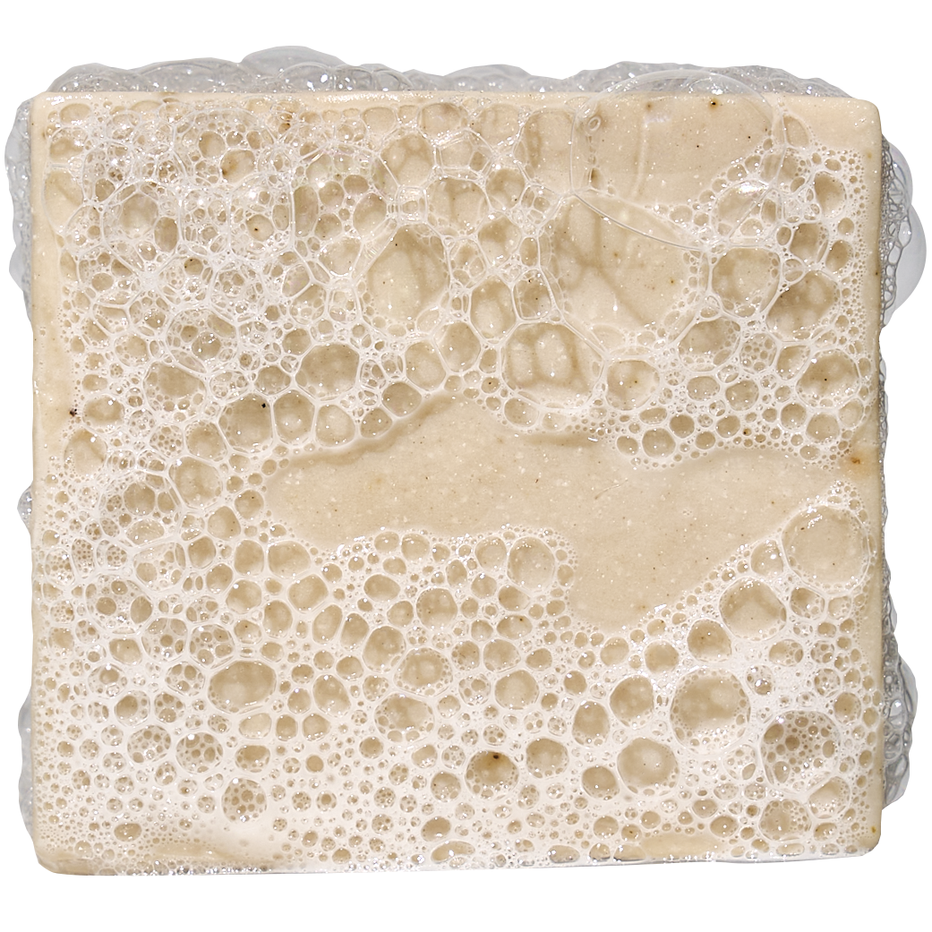 Birchwood Breeze Mini - Start Fresh With Clean Skin