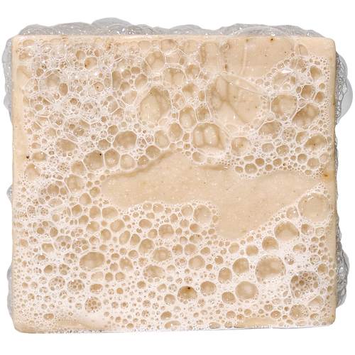 Birchwood Breeze Mini - Start Fresh With Clean Skin