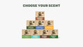 Bar Soap 8-Pack - Smell Ready for Anything