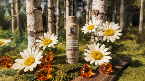 Birchwood Breeze Spray Deodorant - Wash Better and Smell Better