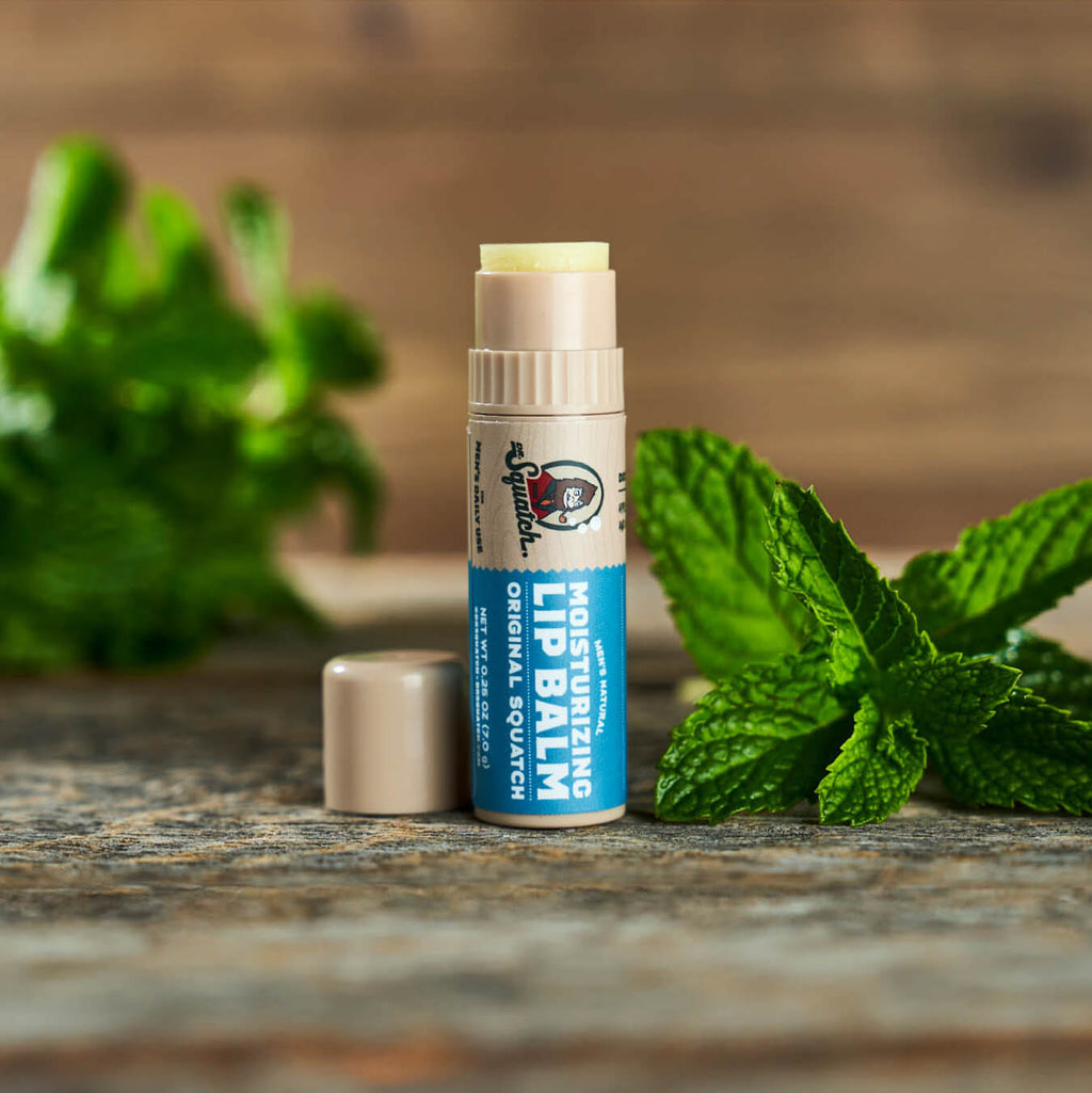 Lip Balm 2-Pack - Fresh Enough for Anything