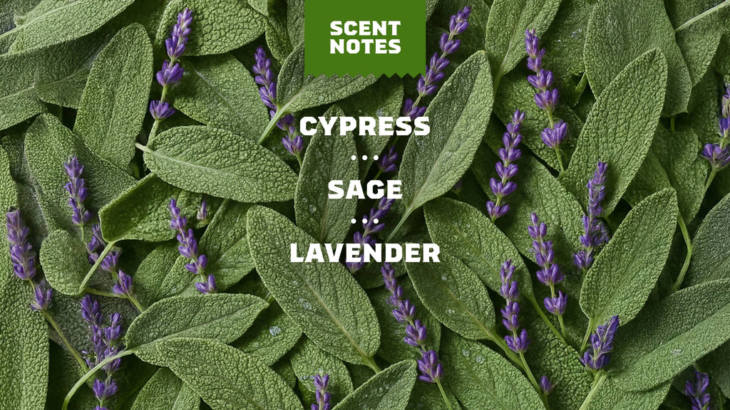 Alpine Sage - Give Your Soap a Raise