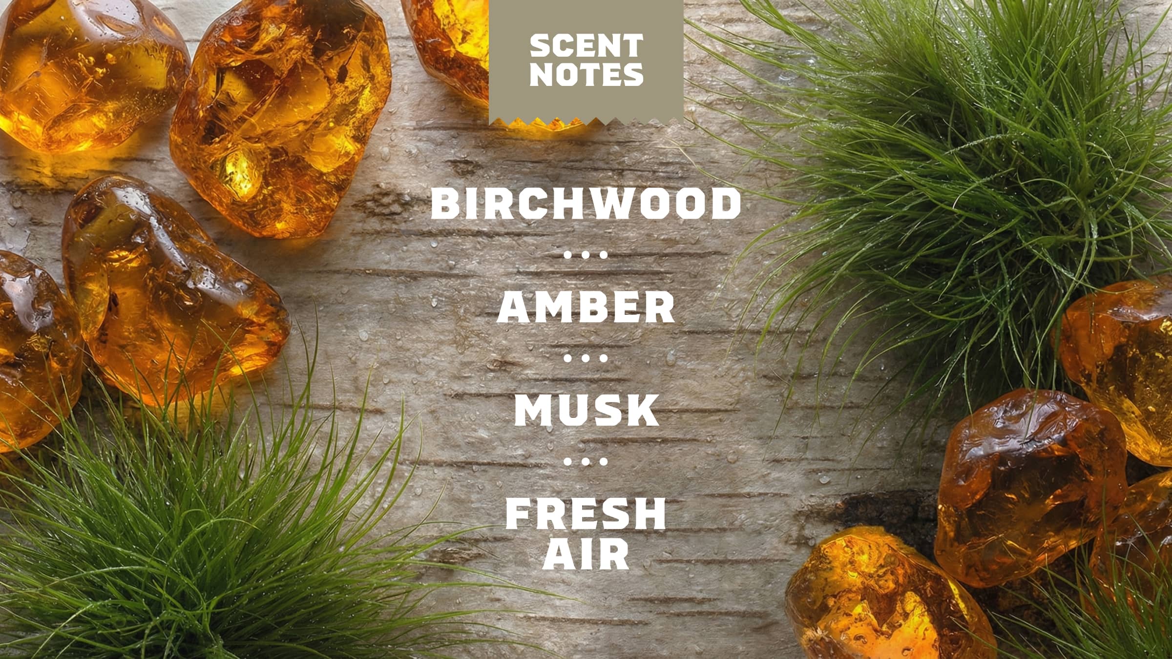 Birchwood Breeze Deodorant - Start With Better Soap