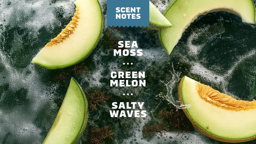 Coastal Mist - Freshen Up the Smart Way
