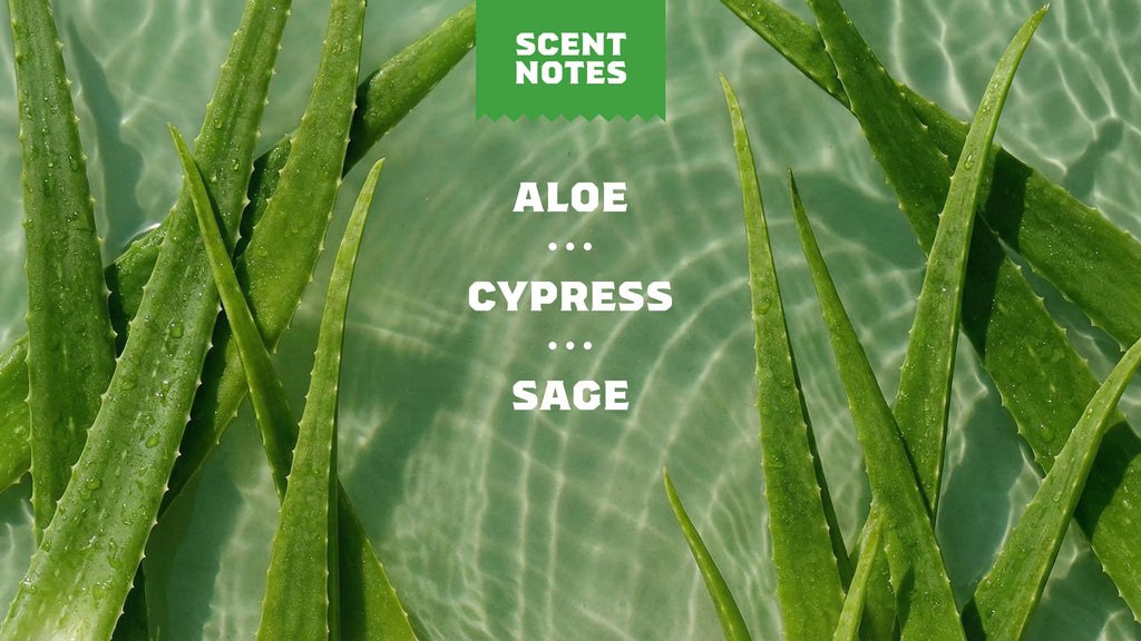 Cool Fresh Aloe Deodorant - Smell Clean and Stay Sharp