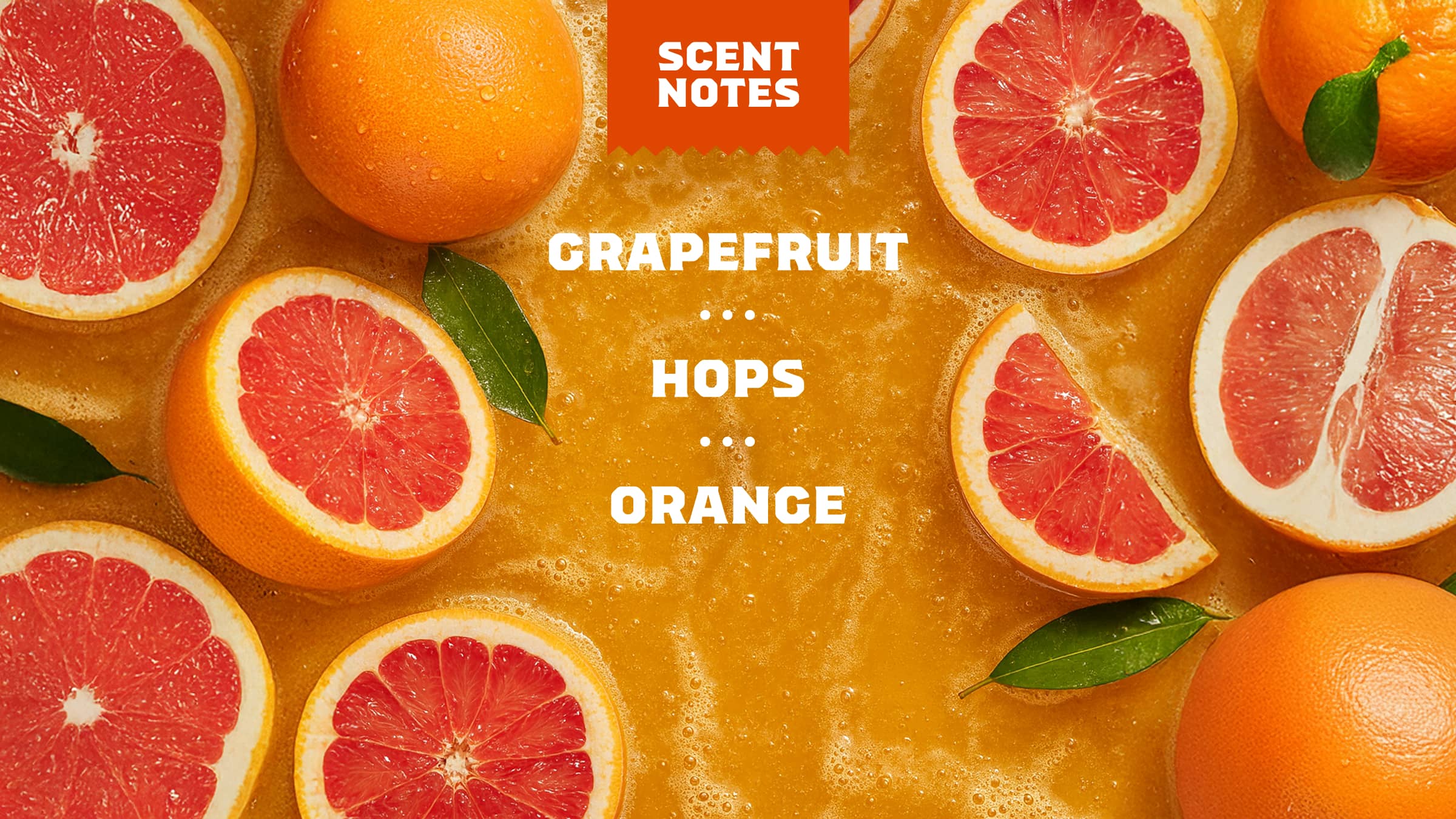 Grapefruit IPA - Clean Starts in the Shower