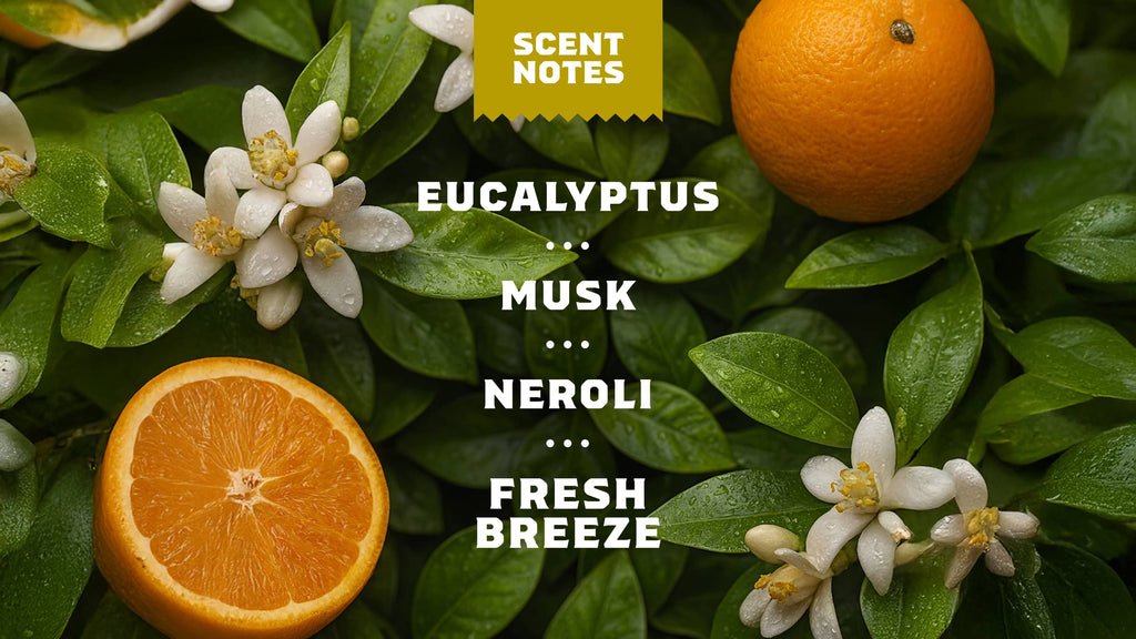 Mountain Meadow Spray Deodorant - Freshen Your Daily Routine