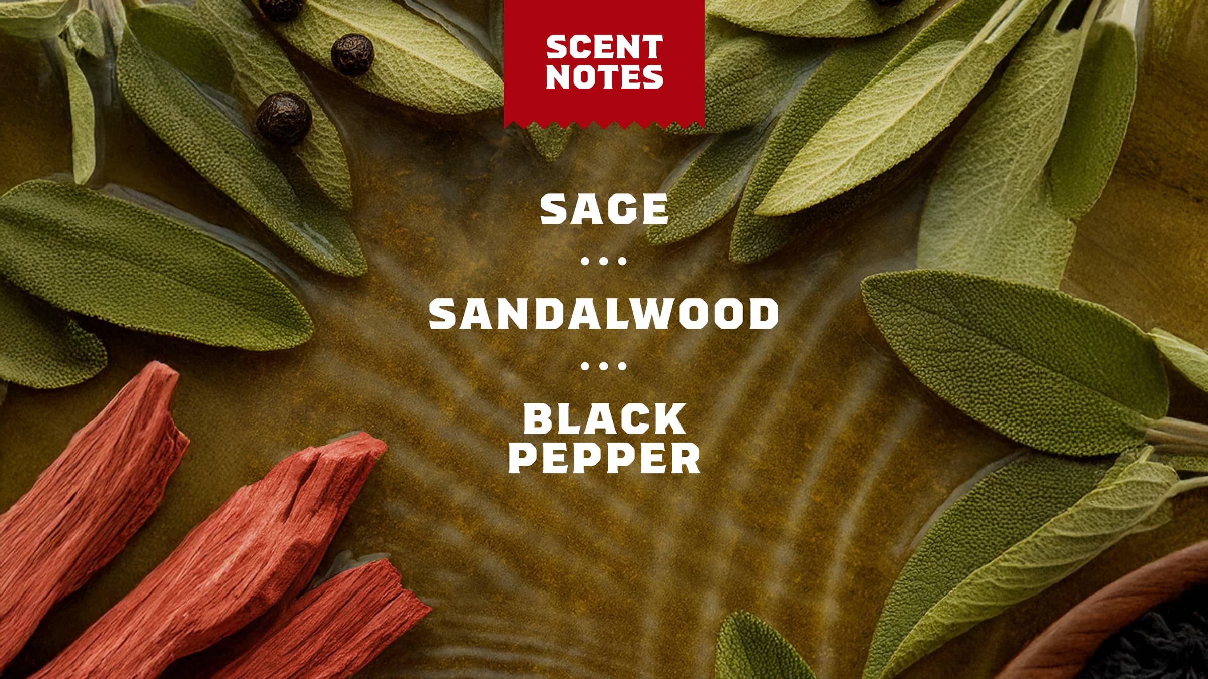 Sandalwood Summit Invisible Glide Deodorant - Your Go To Fresh Bar