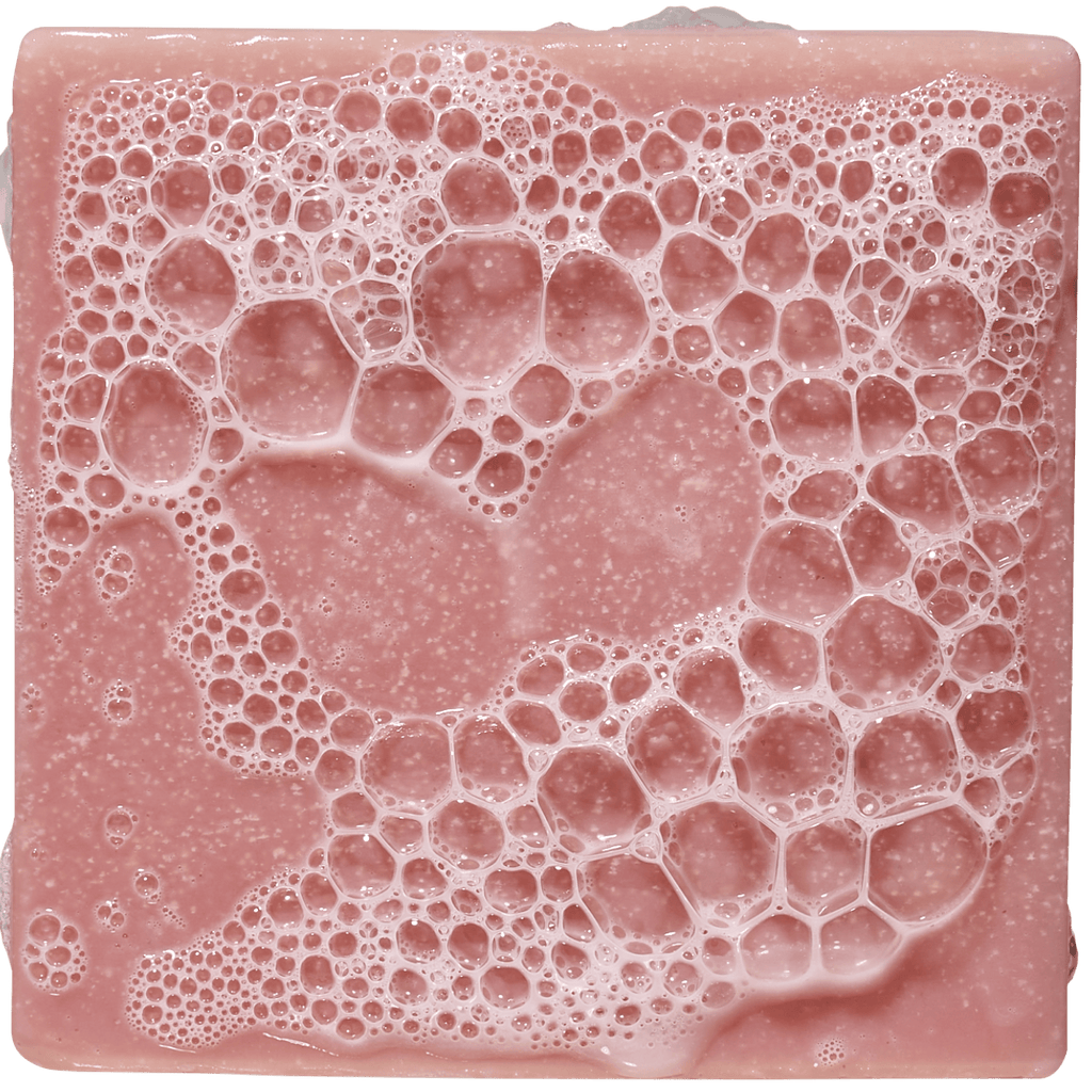 Sea Star Shenanigans - Get Fresh After the Gym