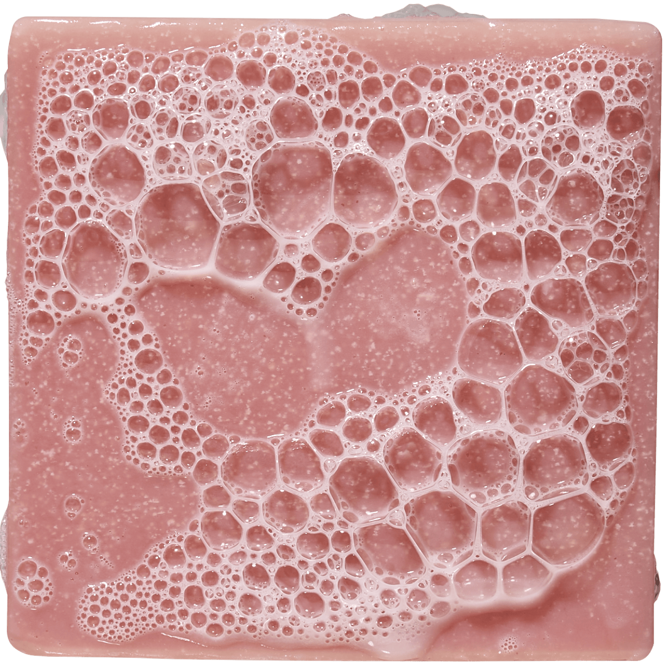 Sea Star Shenanigans - Get Fresh After the Gym