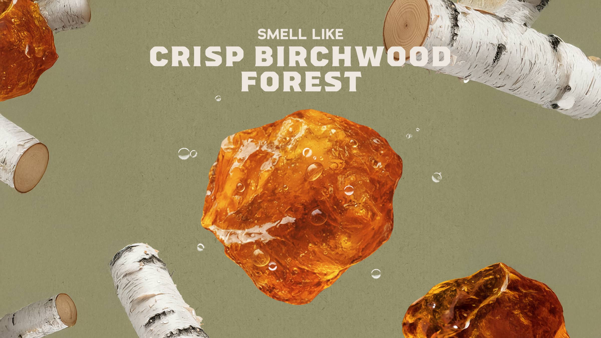 Birchwood Breeze Invisible Glide Deodorant - Give Your Shower Swagger