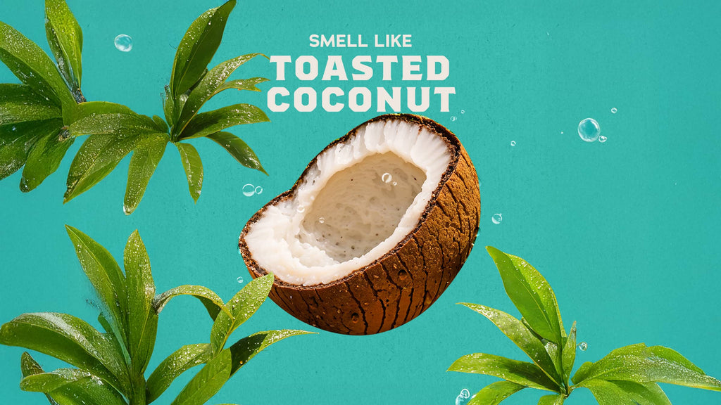 Coconut Castaway Full & Thick Shampoo - Clean Up and Feel Ready