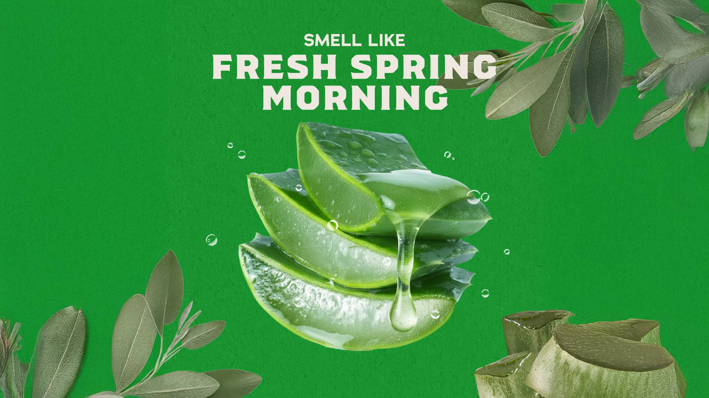 14 oz Cool Fresh Aloe Body Wash - Bring on the Fresh