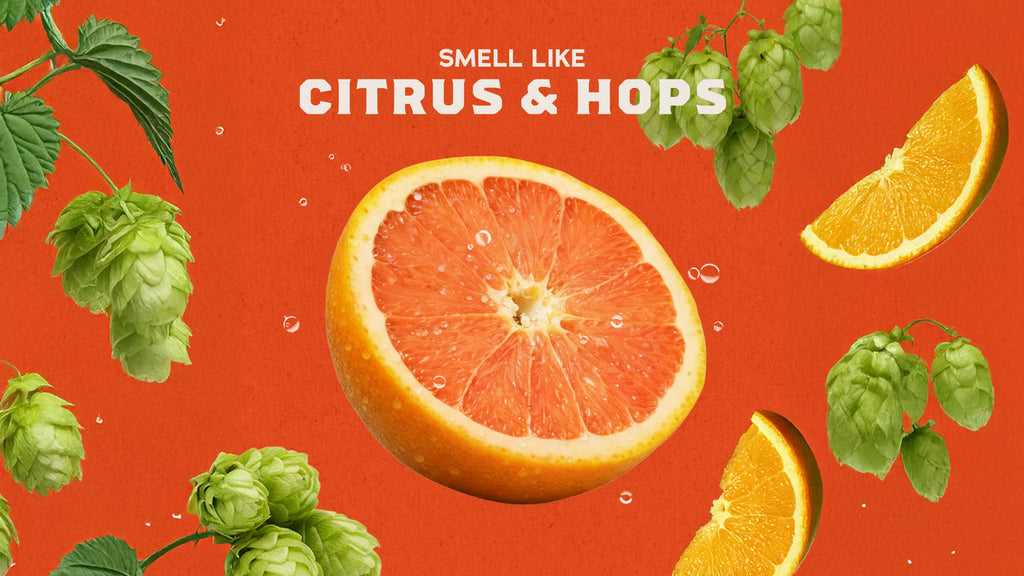 Grapefruit IPA - Clean Starts in the Shower