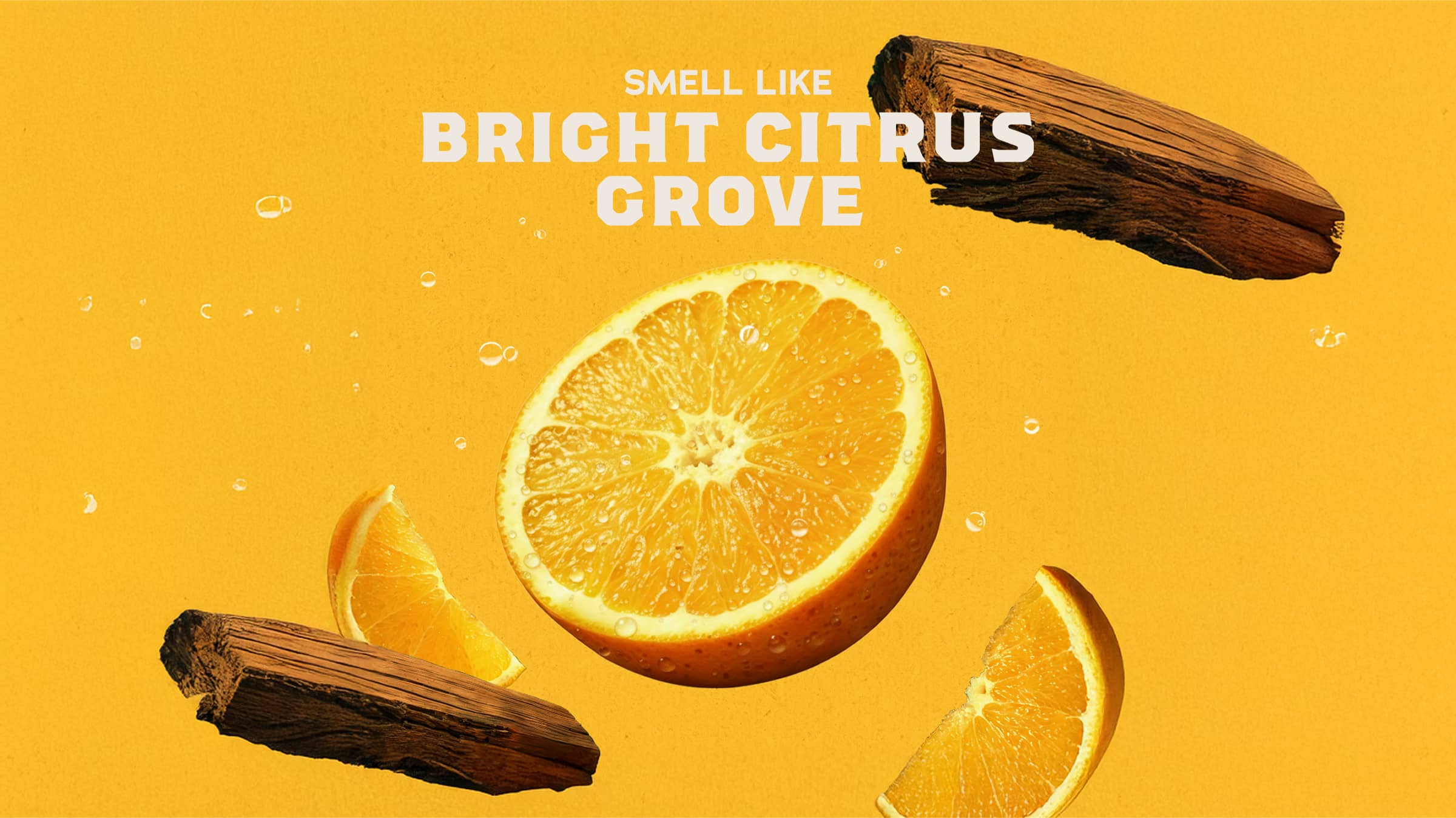 Summer Citrus Deodorant - Clean Up With Style