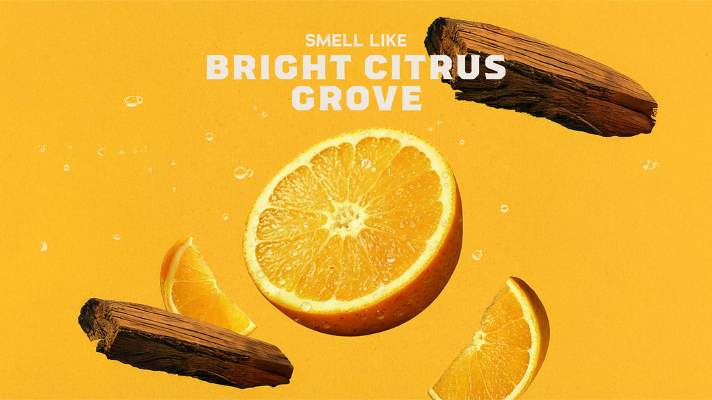 Summer Citrus - Make Your Morning Fresh